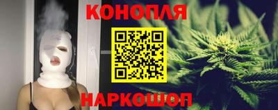 гидра Боровичи