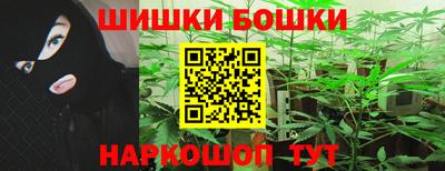 гидра Боровичи