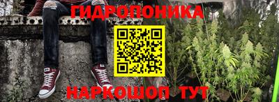 гидра Боровичи
