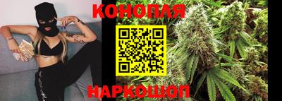 гидра Боровичи