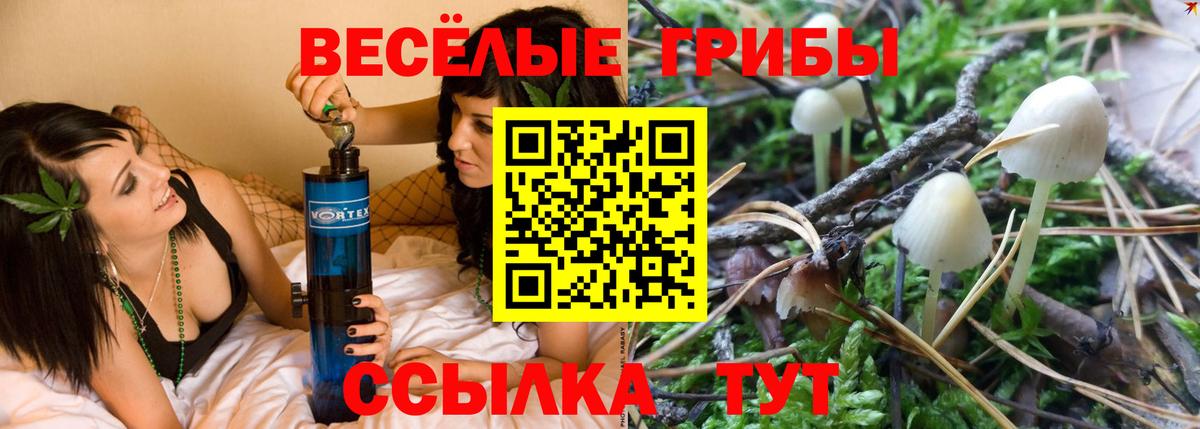 Борзя  Псилоцибиновые грибы мицелий  Галлюциногенные грибы мицелий  Вход с VPN 